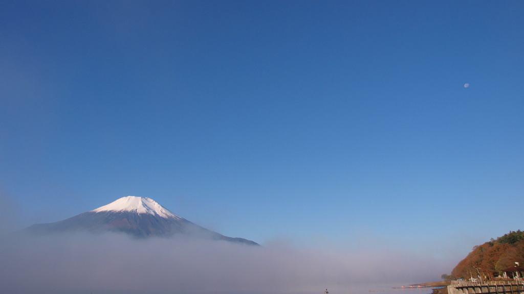 11/6 �\����̌��ƕx�m�R