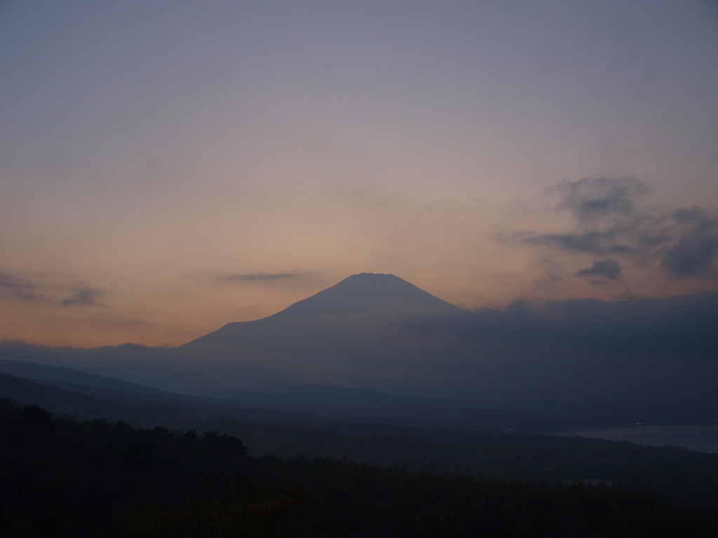 11/7 �[�Ă��ƕx�m�R