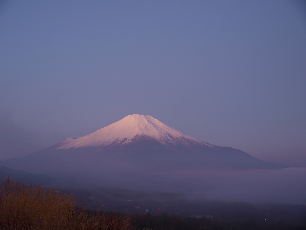 11/27 ��T�ԂԂ蒩�̕x�m�R