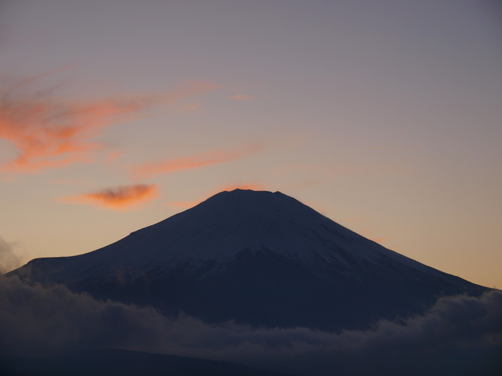 11/27 �R���ɂ�����[�Ă��̕x�m�R