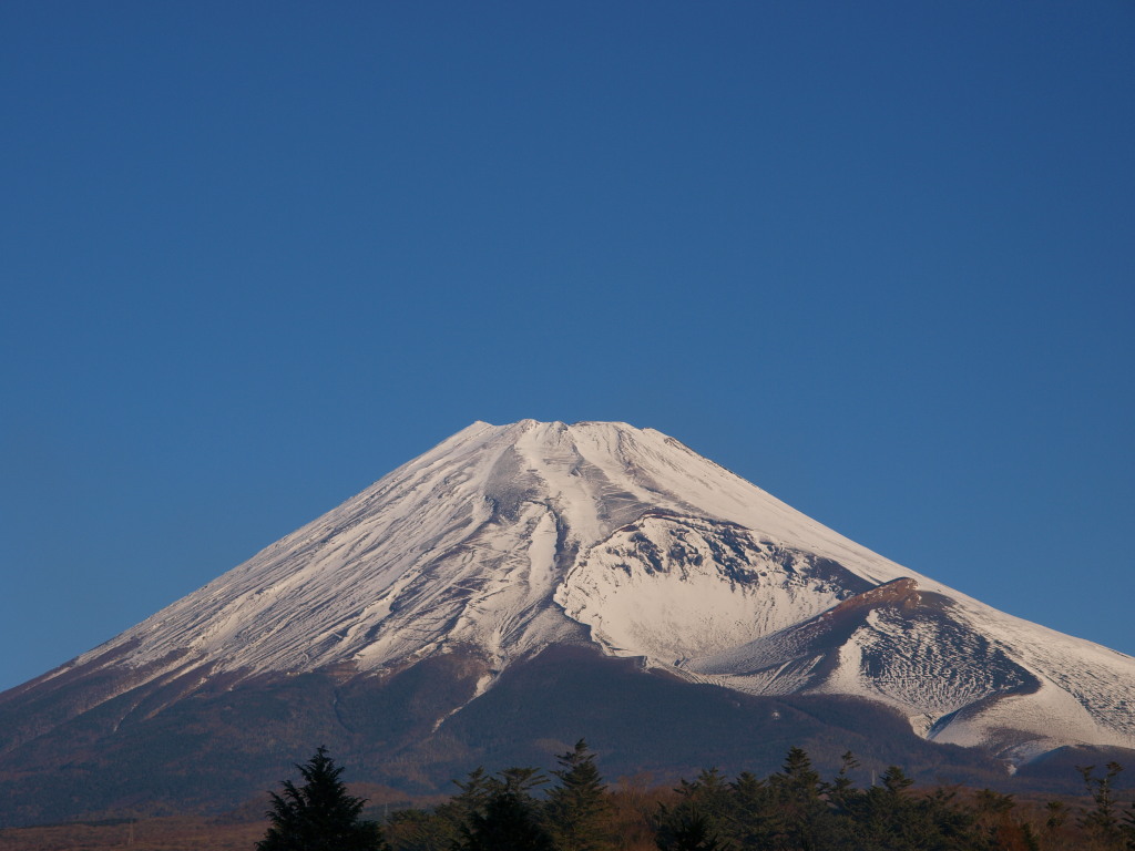 12/2 �\���؂���̕x�m�R