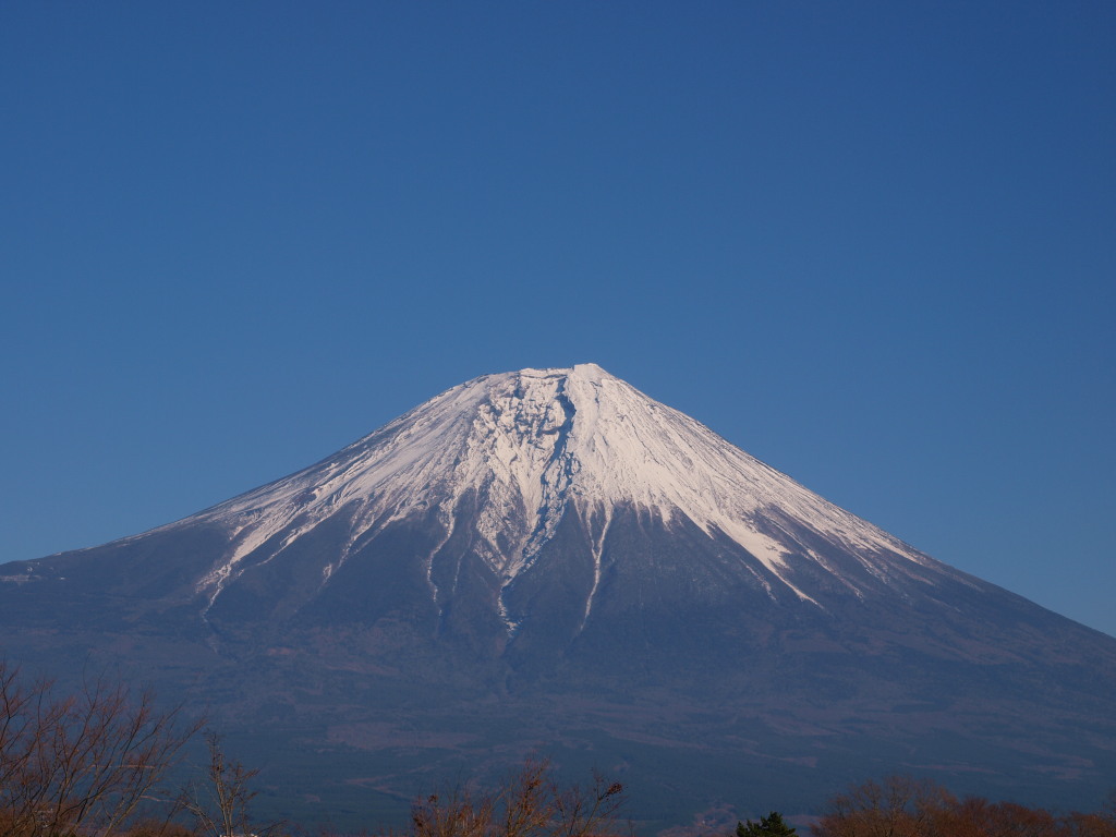 12/2 �c�ь΂���̕x�m�R