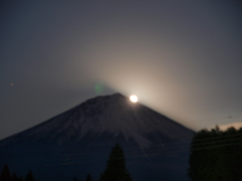 12/2 �����̏o�ƕx�m�R