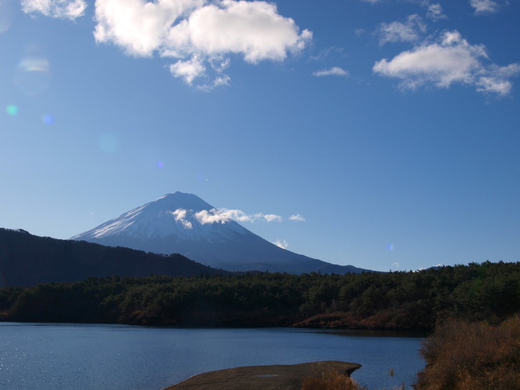 12/4 ���΂���̕x�m�R