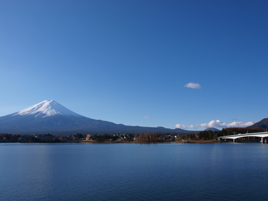 12/4 �͌��΂���̕x�m�R(2)