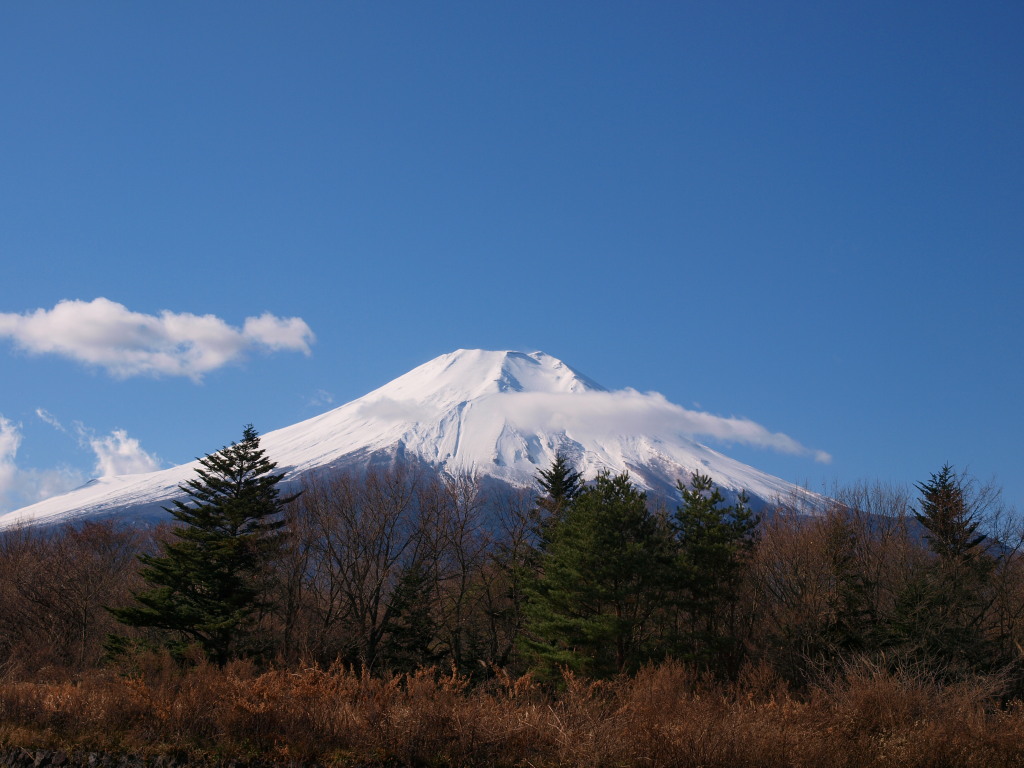 12/4 �Ԃ̓s��������̕x�m�R