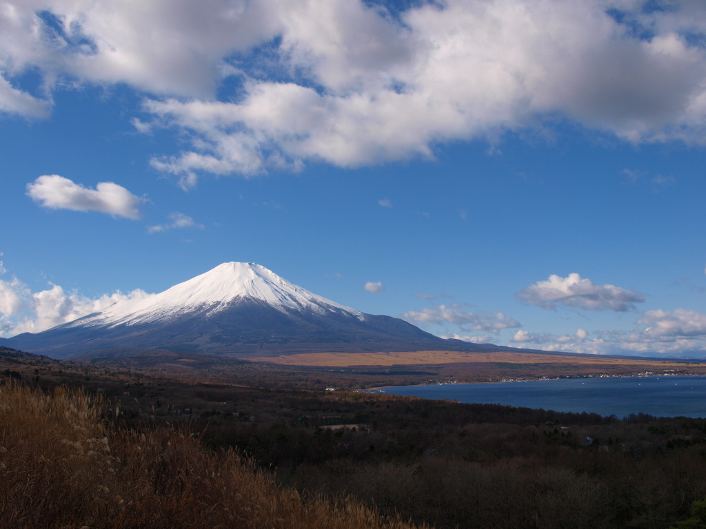 12/4 �p�m���}�䂩��̕x�m�R