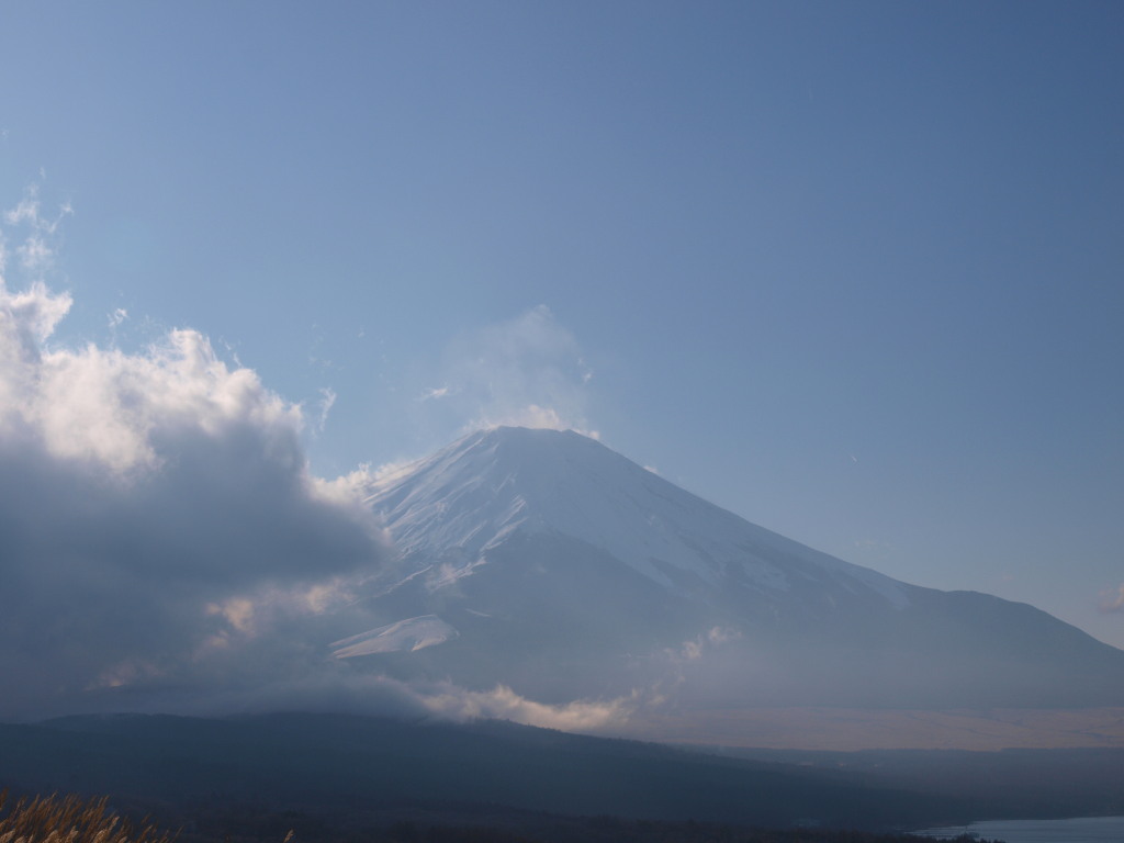 12/14 �_�̒�����p���������x�m�R