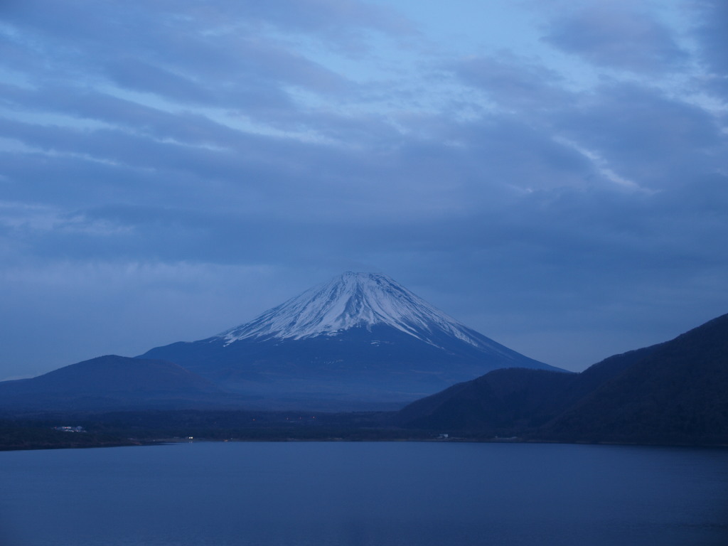 12/15 ���̓���̕x�m�R