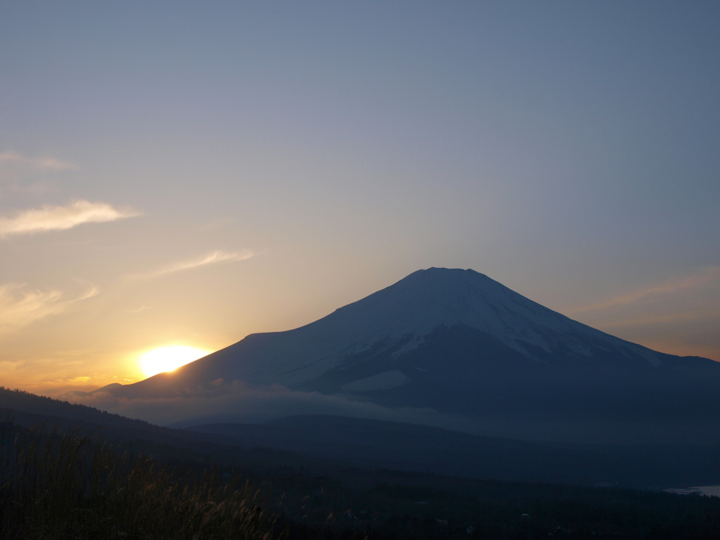 12/24 �R���΂���̓��̓���̕x�m�R