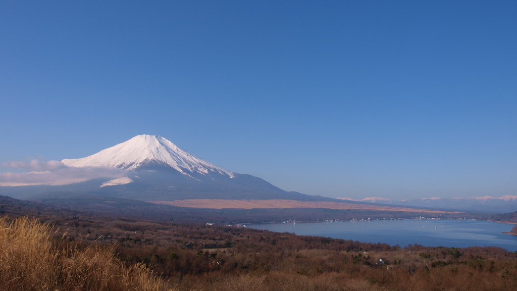 12/25 �A���v�X�ƕx�m�R