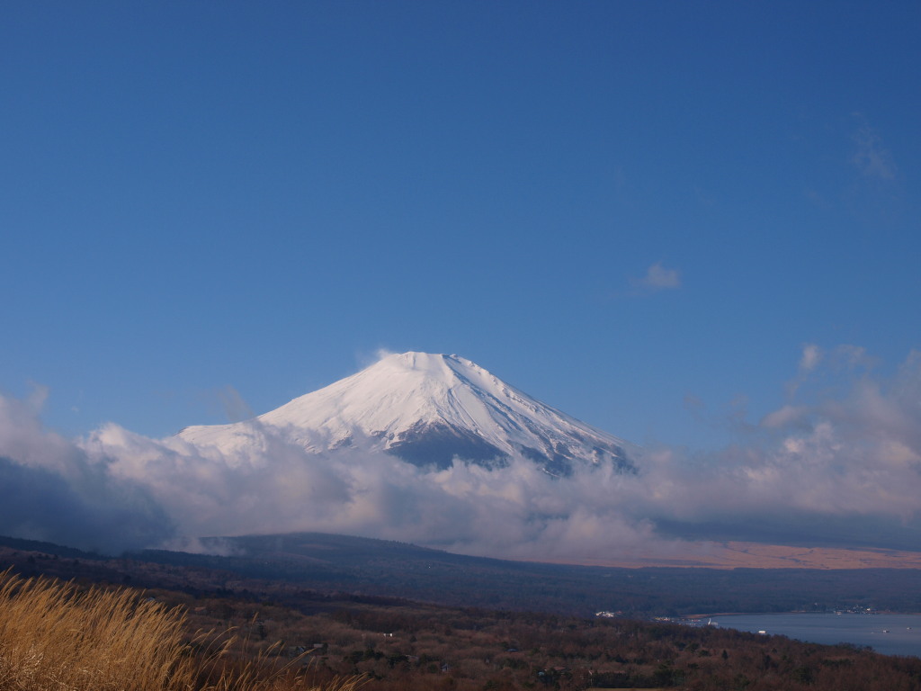 12/26 �J�オ��̂��ꂢ�ȕx�m�R