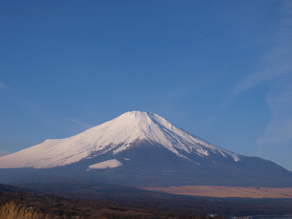 12/27 ���ꂢ�ȕx�m�R