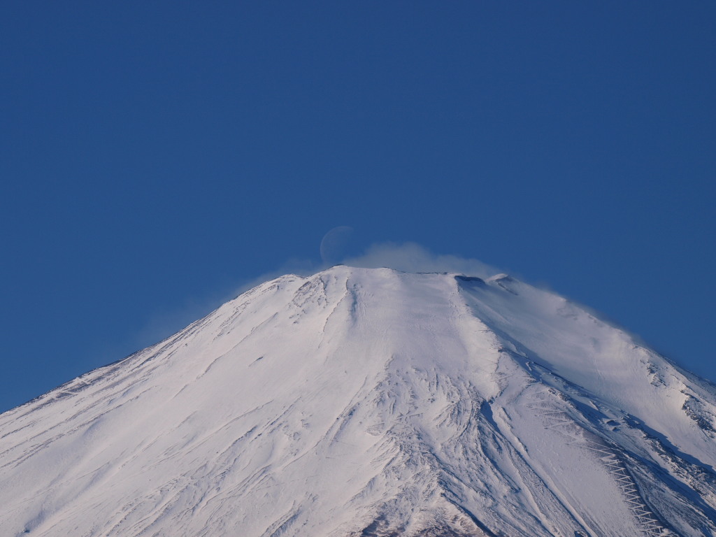 1/7 ��\����̌��̓���ƕx�m�R