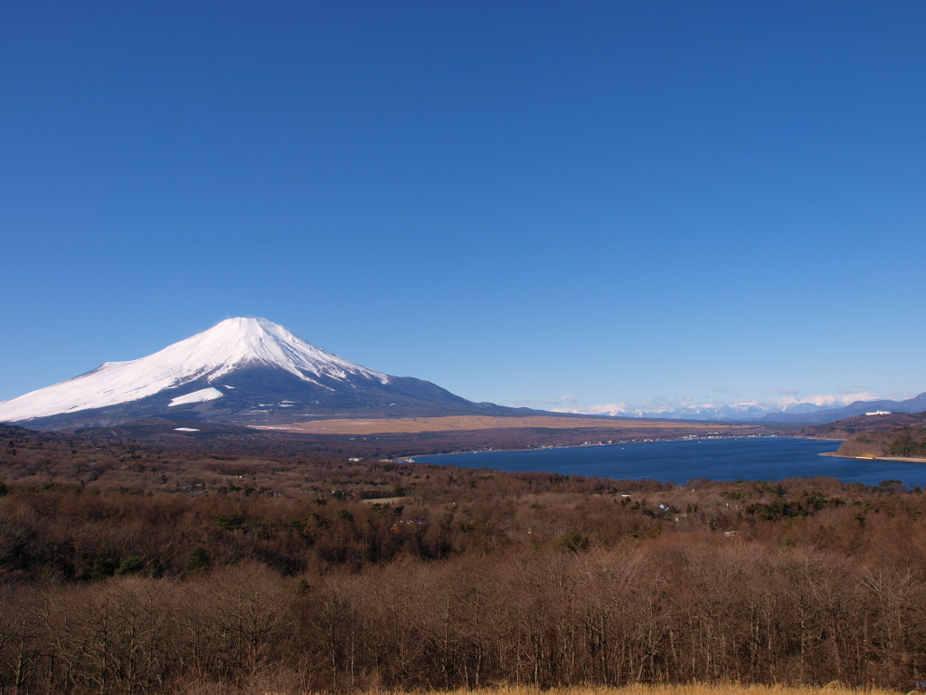 1/7 �������肫�ꂢ�ȕx�m�R