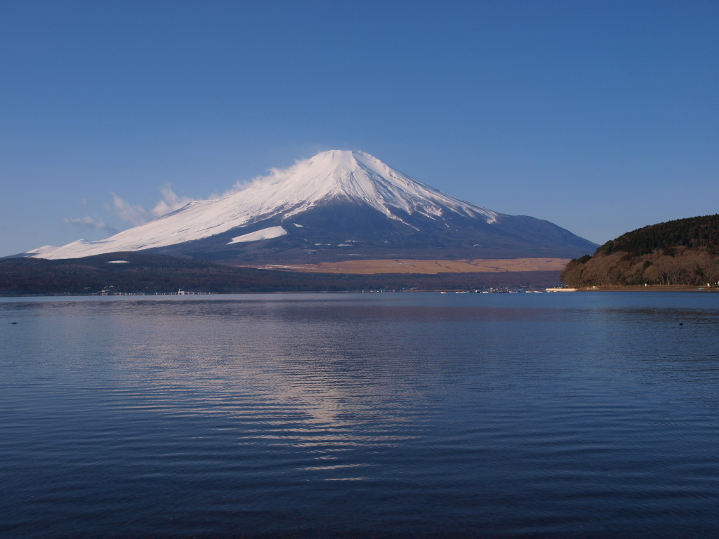 1/10 ���삩��̕x�m�R