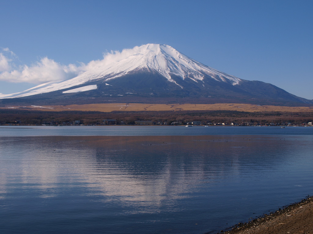 1/10 ���r����̕x�m�R