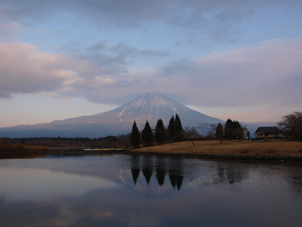 1/11 �c�ь΂���̕x�m�R