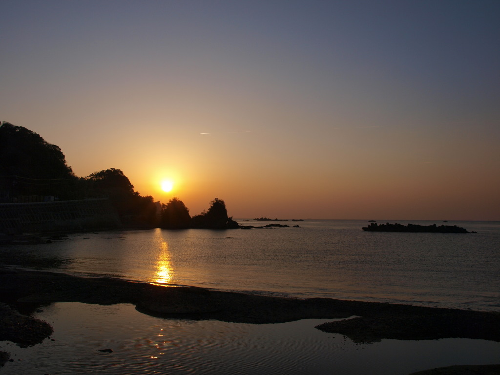 1/20 �ΘL�肩��̓��̏o