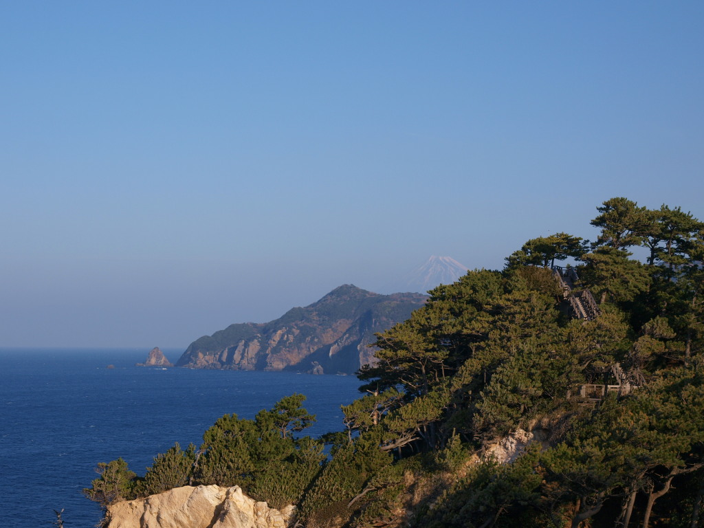 1/20 �����肩��̕x�m�R