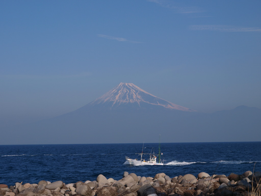 1/20 �˓c����̋����̕x�m�R