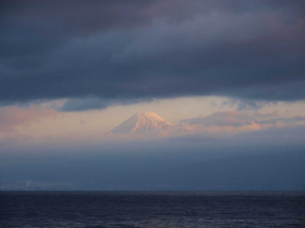 1/22 �悤�₭�������x�m�R