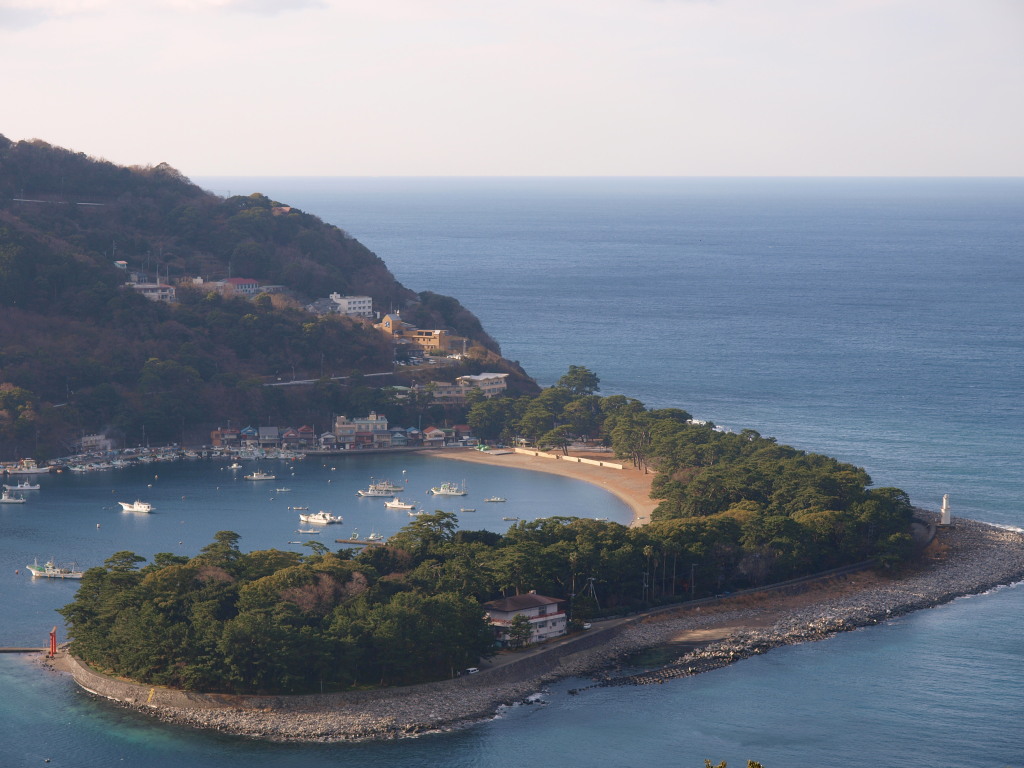 1/22 ��l���̑S�i