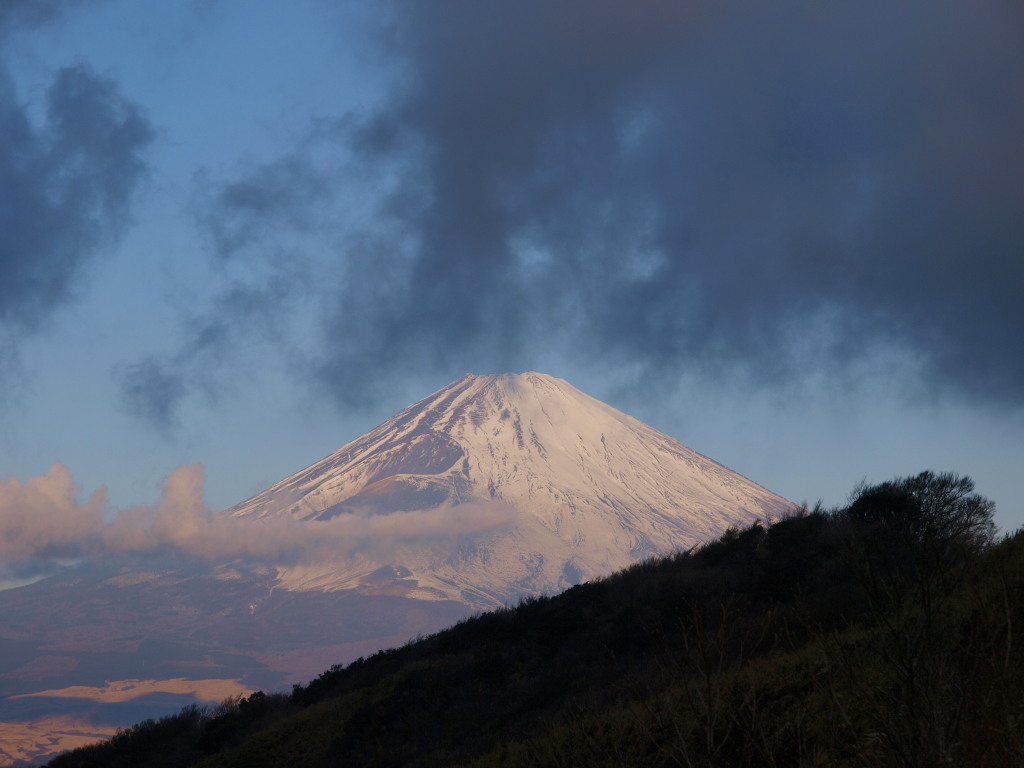 1/27 ���m�΃X�J�C���C������̕x�m�R