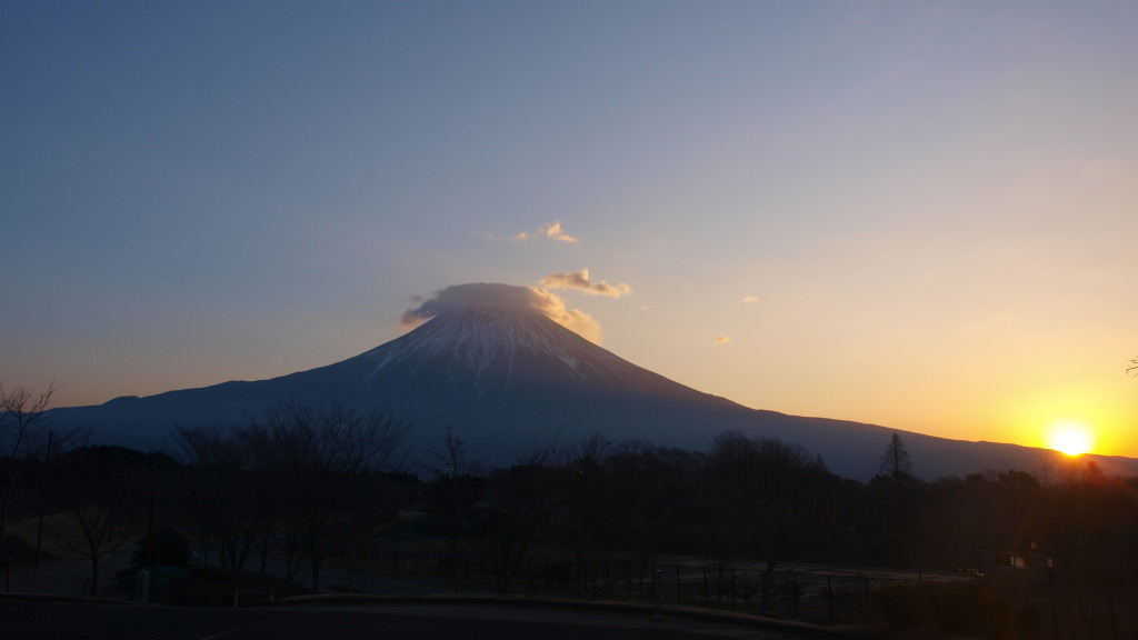 1/31 �P�_�������x�m�R