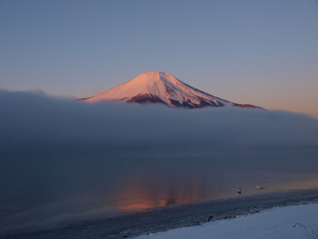 2/5 �_�C�̒��̒��Ă��̕x�m�R