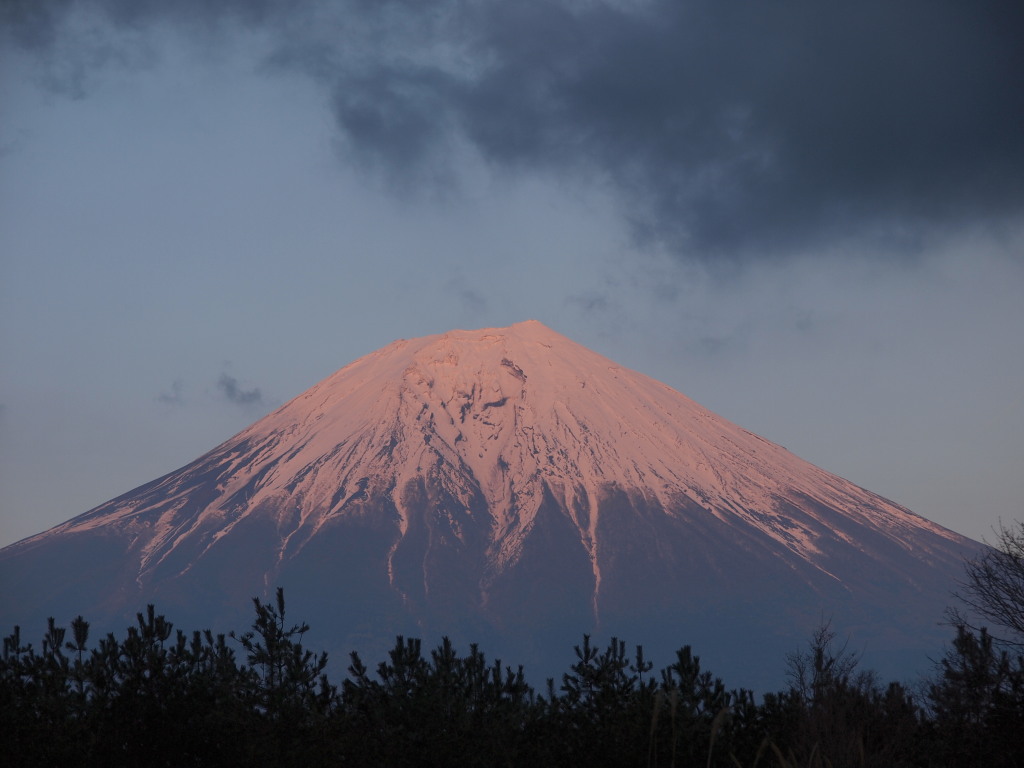 3/19 ��������̗[�Ă��̕x�m�R