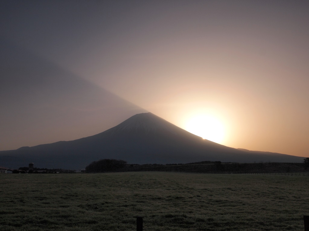 3/20 ��������̓��̏o�̕x�m�R