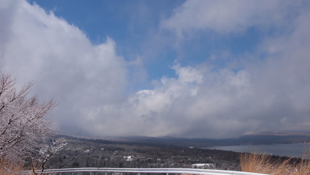 3/26 ���傱���ƌ������x�m�R