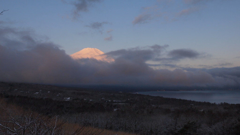 4/8 �ቻ�ς̂��ꂢ�ȕx�m�R