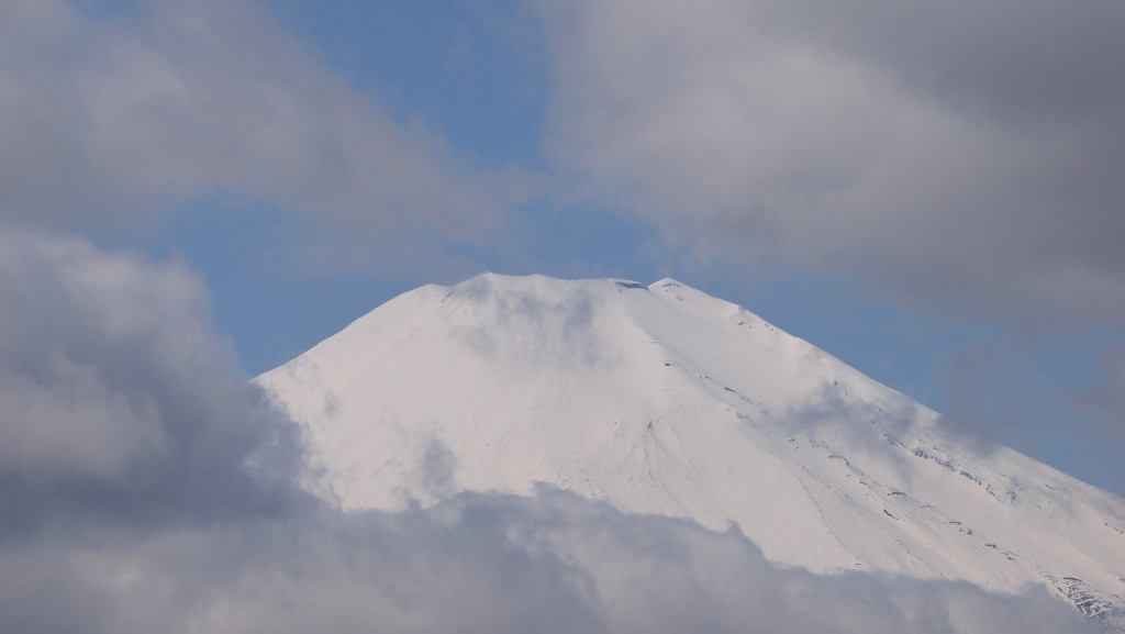 4/8 ��̂��ꂢ�ȕx�m�R