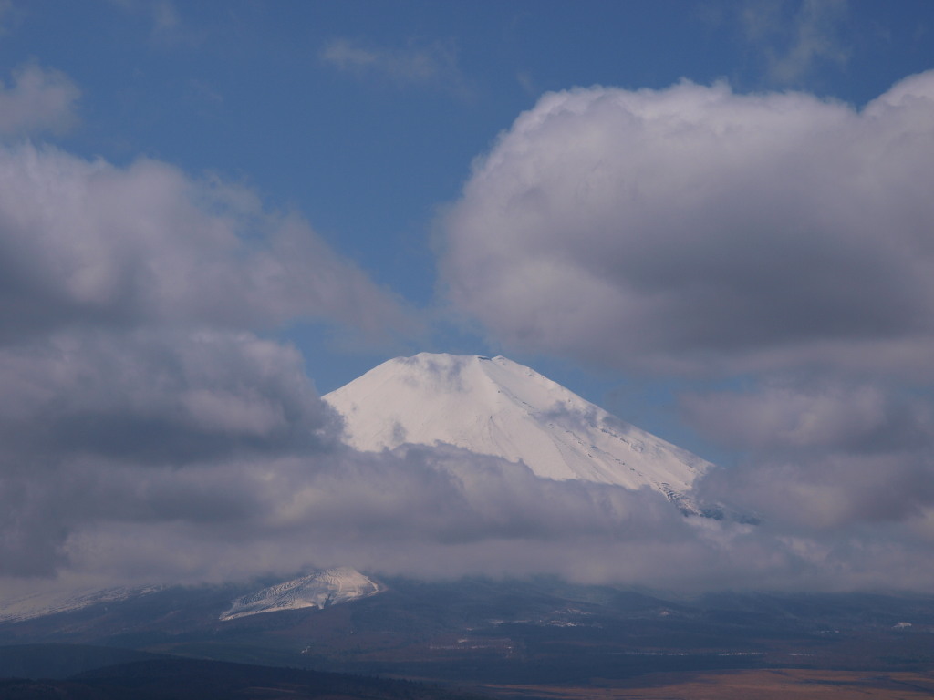 4/8 ��̂��ꂢ�ȕx�m�R(2)