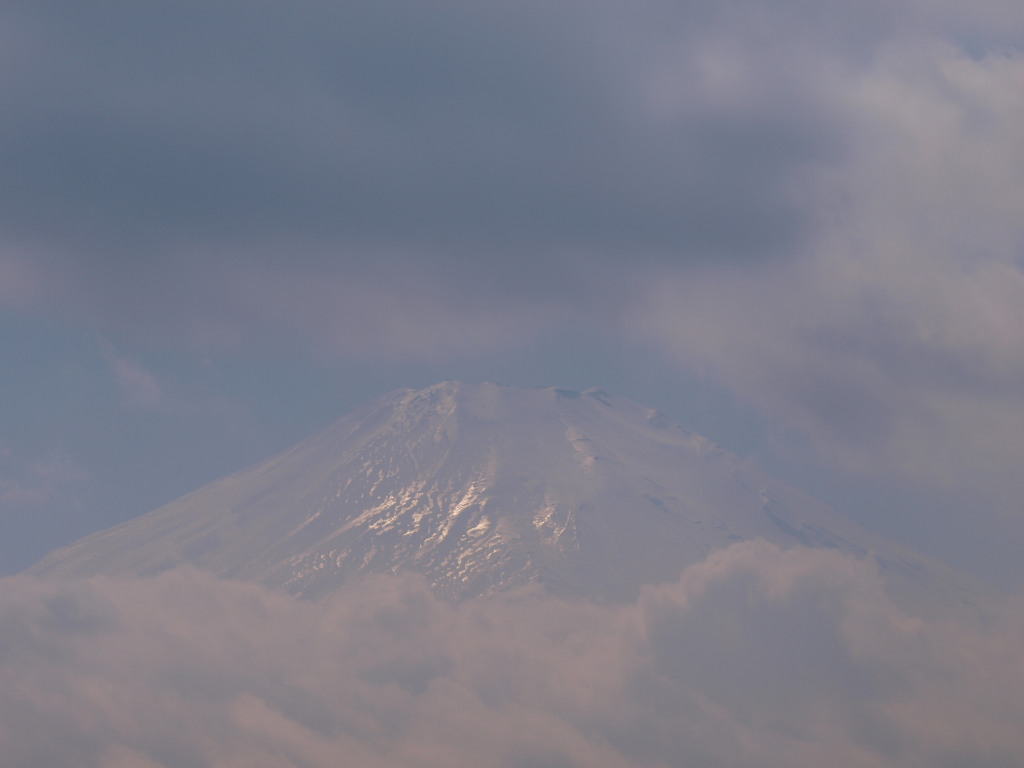 4/8 ��̔��˂̕x�m�R