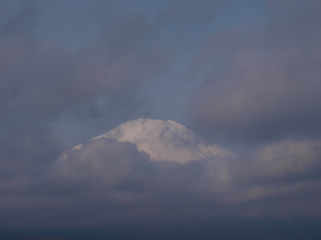 4/9 ��u�p���������x�m�R