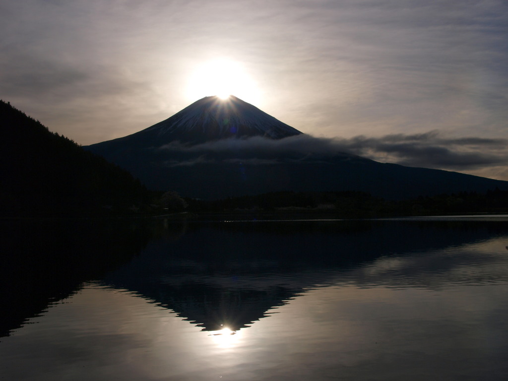 4/21 �_�C�������h�x�m