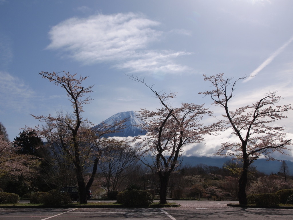 4/21 ���Ƃ��ꂢ�ȕx�m�R