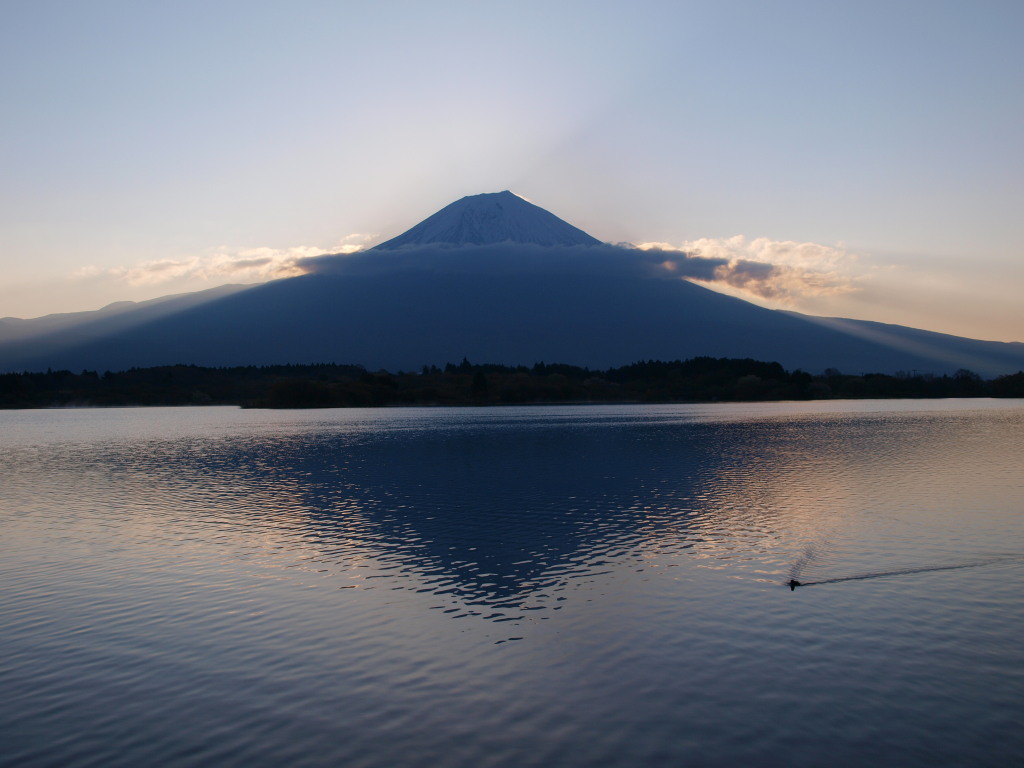 4/25 ���ƕx�m�R