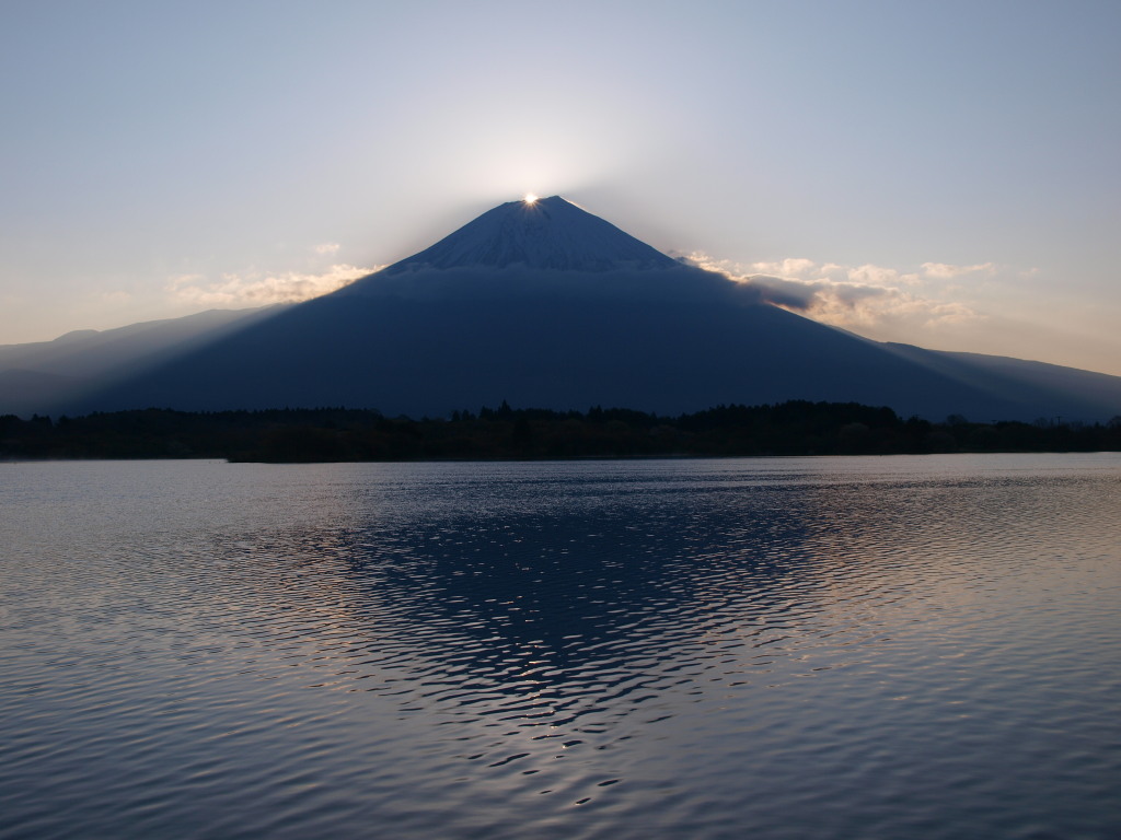 4/25 �_�C�������h�x�m