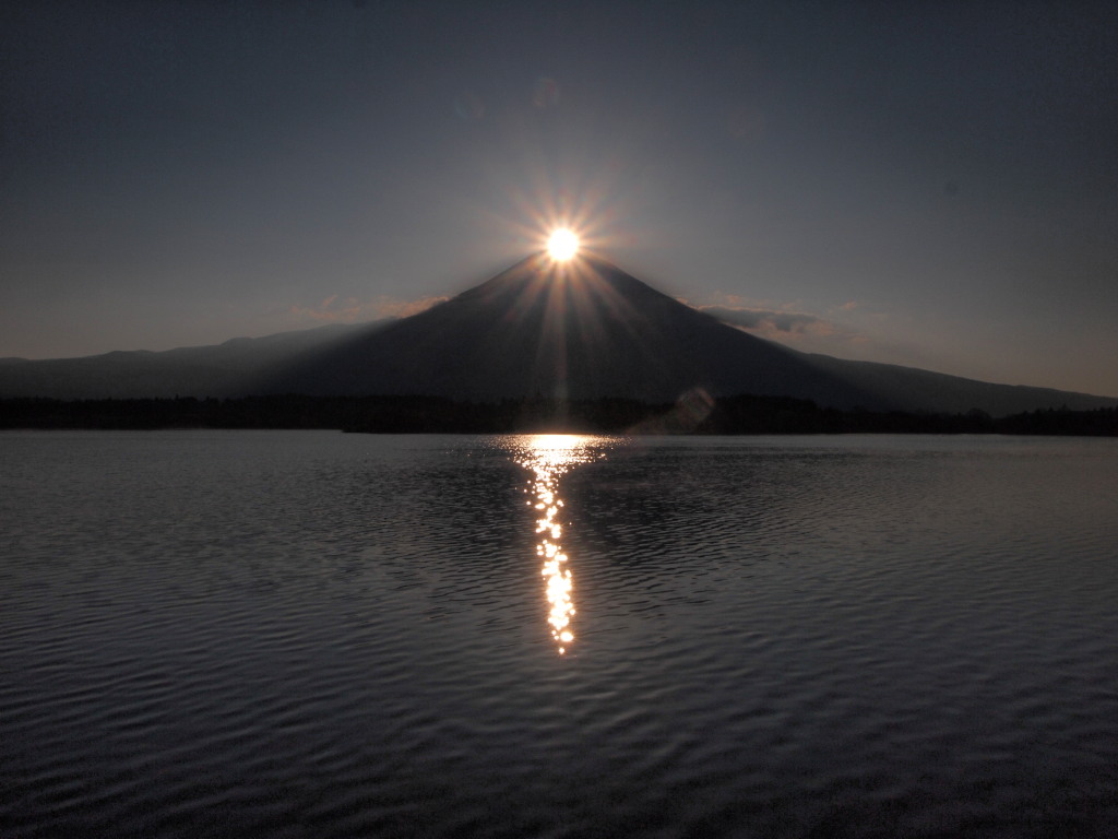 4/25 �_�C�������h�x�m(4)