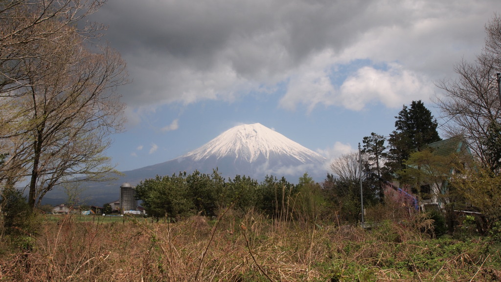 4/29 �J�オ��̕x�m�R