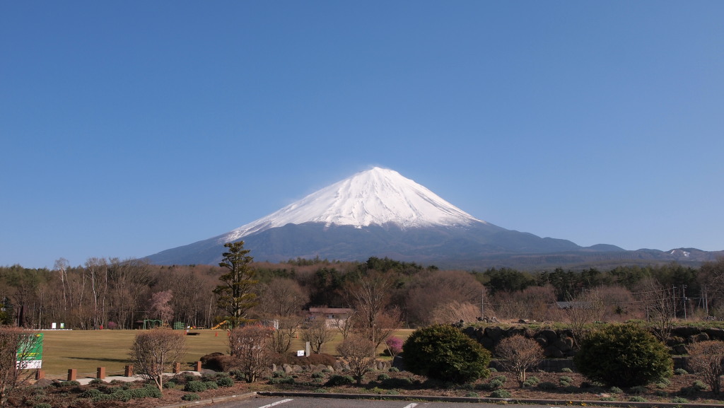 4/29 �򂩂�̕x�m�R