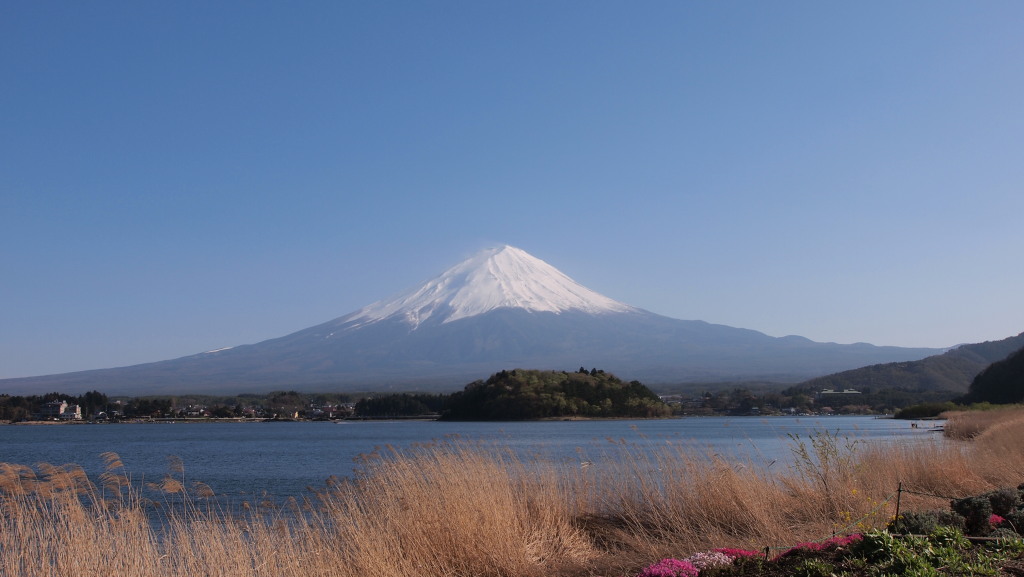 4/29 ��Ό�������̕x�m�R