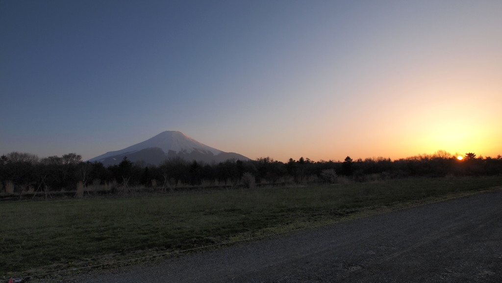 4/29 �Ԃ̓s��������̗[�Ă��ƕx�m�R