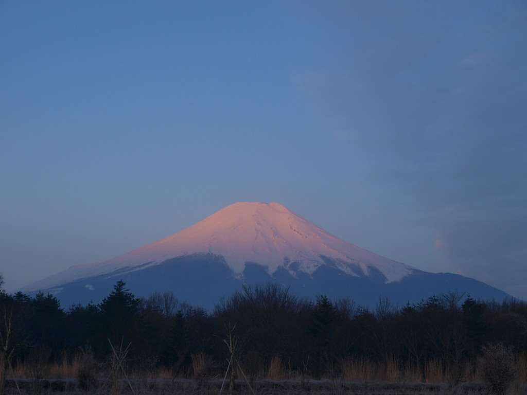 4/30 �Ԃ̓s��������̒��Ă��ƕx�m�R