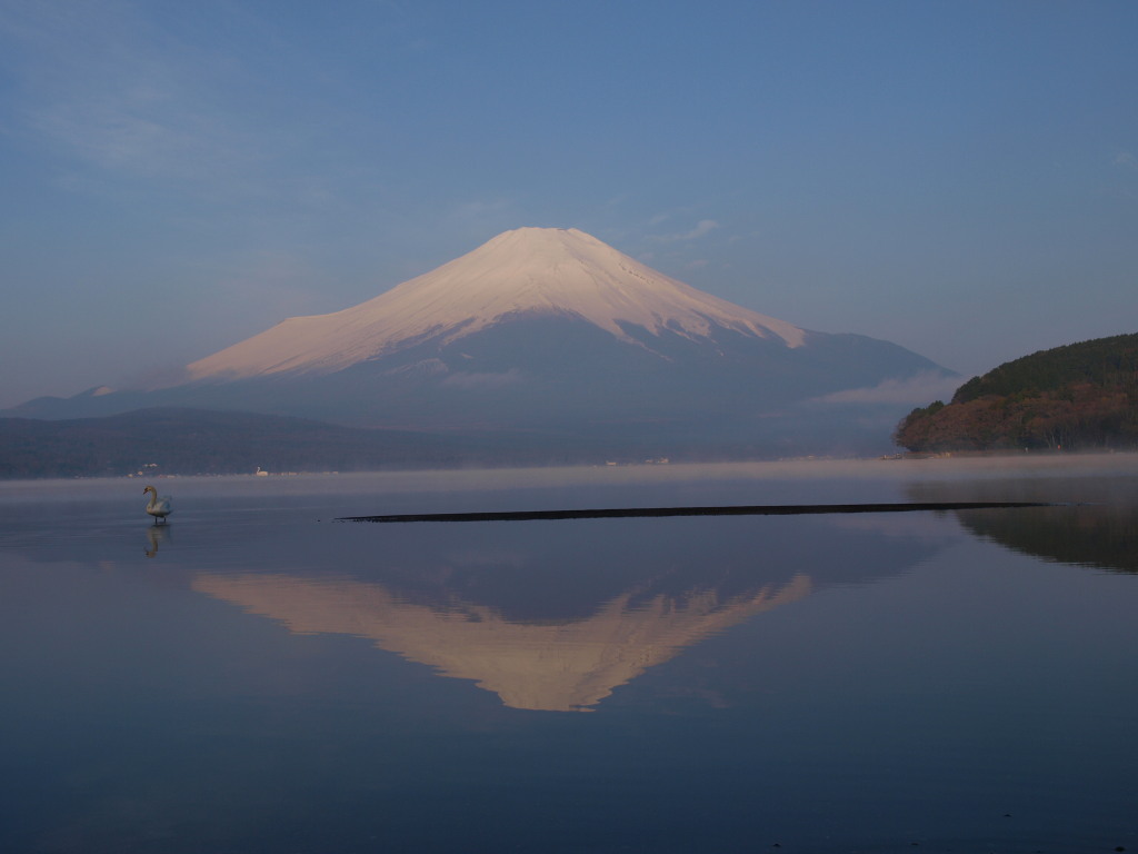 4/30 �����Ƌt���x�m