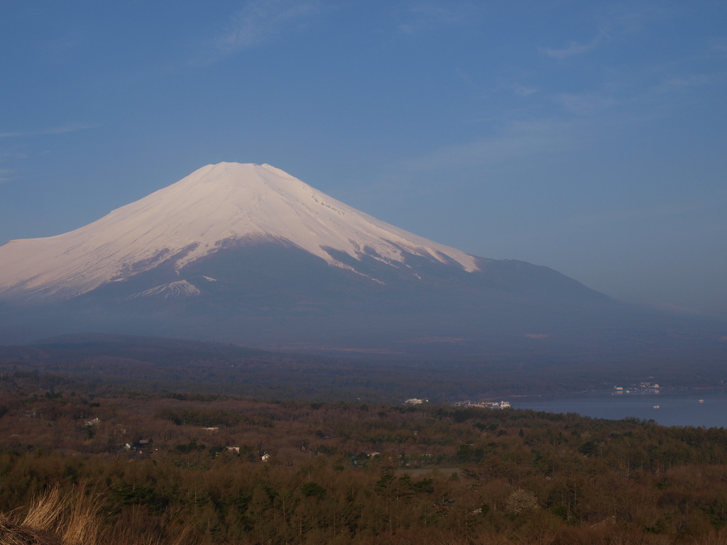 4/30 �p�m���}�䂩��̕x�m�R